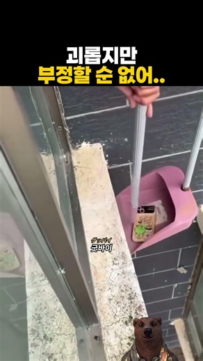 괴롭지만 어쩔 수 없어...ㅠㅠㅠ