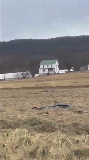 Plowing the field #Amish #horse #plow