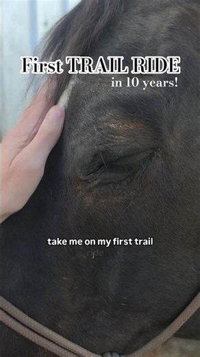 First TRAIL RIDE in 10 years!✨️🐎 #horsebackriding #trailride #horses