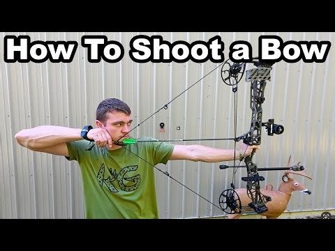How To Shoot a Compound Bow for Beginners!