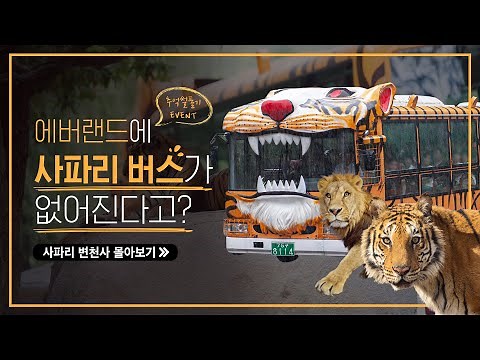 (EVENT) 굿바이 사파리버스! 사파리 월드 변천사 & 사파리 추억썰 풀기 | 에버랜드 #사파리월드 (Everland Safari World)