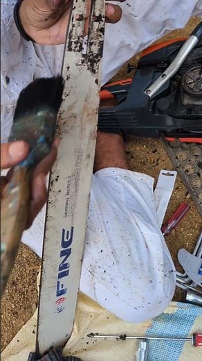 Chainsaw Cleaning Step-by-Step | Maintain Your Power Tool | Jolly Garage Tips