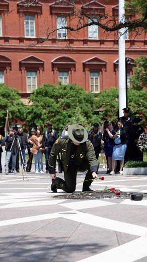 63 reactions · 6 comments | A Houston Sector Canine Handler honored his fallen canine partner on Saturday at the National Police K9 Memorial service in Washington D.C. there a few who know the bond of canine and handler, and the feeling of loss when your partner is taken from you K9 Miro End of Watch : 07/29/2023 #thenoseknows #policeweek2024 #policecanine #gsd #workingdogs #k9memorial | US Border Patrol Houlton Sector | Facebook