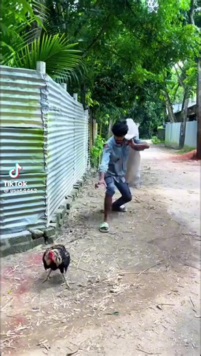 Videos de dormelusdesilus (@dormelusdesilus) con “sonido original - dormelusdesilus”