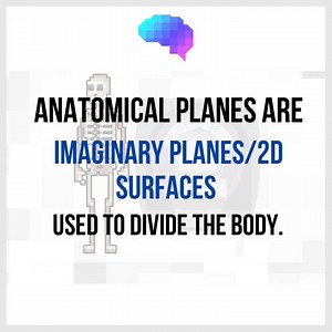An overview of key anatomical planes (e.g. sagittal, coronal, axial) and their clinical relevance. A great starting point if you want to brush up on your anatomy! Find it here at https://geekymedics.com/anatomical-planes/ 🤓 #meded #medschool #medicalstudent #medstudent #osce #clinicals #clinicalskills #usmle #premed #premedlife #paces #usmle #nursing #nursingschool #nursingstudent #physicianassociate #pastudent #paramedic | Geeky Medics