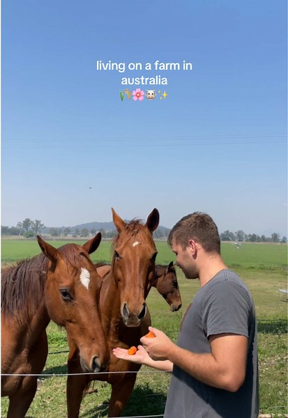 pov living on a farm in Queensland 🫶 #farmlife #farmtok #scenicrim #queensland