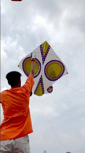 Kite Flying 2025 | Patang Ki Video | Flying Kites | Kite | Yogesh 01