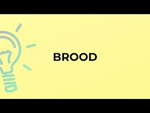 What is the meaning of the word BROOD?