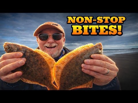 This Beach Was FULL of Flatfish! | Northumberland Fishing