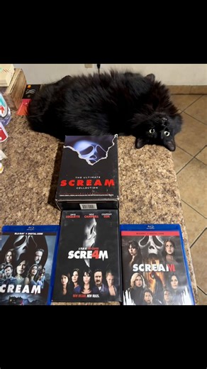 Someone is excited for the #SCREAM revisit ahead of Thursday. #Scream7 #Catstagram #Horror
