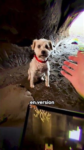 Le Meilleur Pack De Texture Minecraft ! 🤯