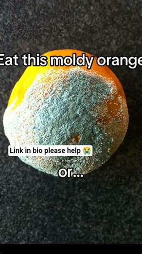 it's me again asking for your help please help tima's life he has cancer and am asking for help