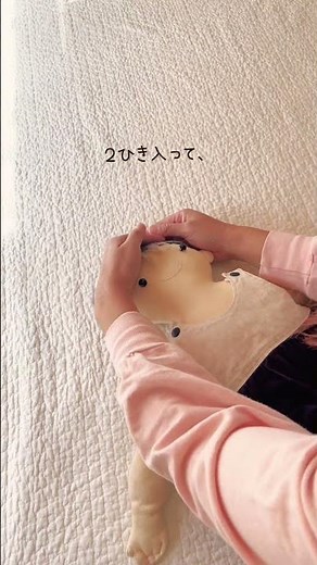 【ベビー、キッズマッサージ】大好きを伝えるベビーマッサージ 🐘👒ぞうさんのぼうし #ふれあい遊び #赤ちゃん #0歳 #キッズマッサージ #愛着関係