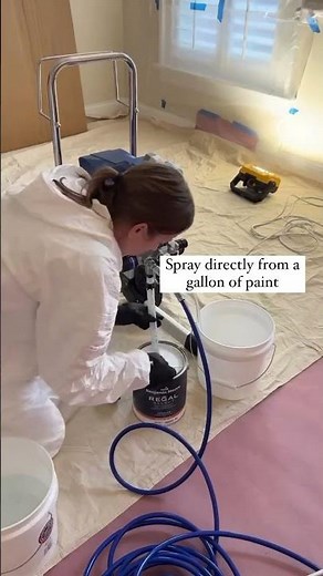 Graco Magnum Sprayer