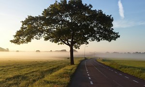 Rural Health Insights - ACHI