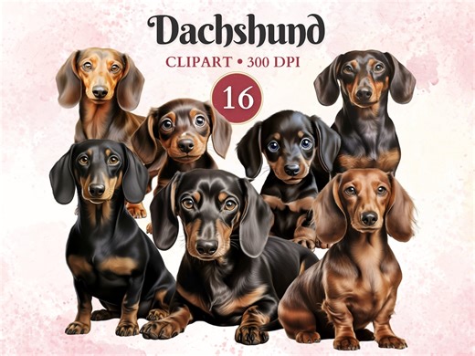 Dachshund Clipart: Pet Graphics, Dog Vector Art (PNG Files) - Etsy