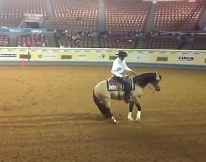 Kicking the morning off with Section 1 of the NRHA Futurity Open horses! Here is Gotta Shiney Buckle, ridden by Guy Vernon. Good luck to all competitors! | Quarter Horse News
