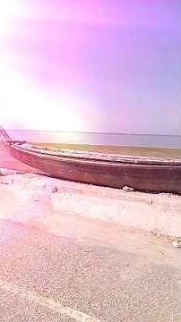 “Nature’s Touch Turns Beauty into Pure Magic 🌿✨”