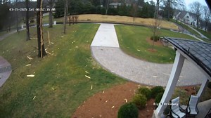 4.4K views · 59 reactions | My good friend Scott Johnson had a lightning strike hit a tree next to his house the last Saturday morning! Check out how far some of the wood went! | Blake Brown Photography | Facebook