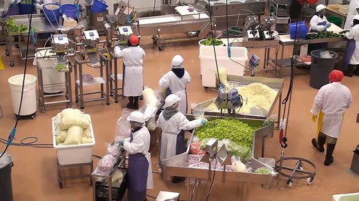 Tour of Alchemy Training System - Food Manufacturing