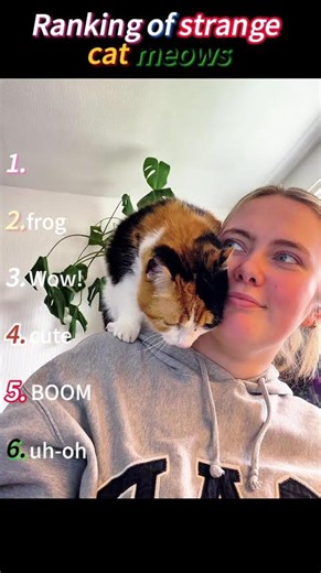 Did this cat accidentally switch voices? So weird.#Funny cat#OddCatSound