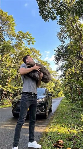 Sloth Gives Birth After Rescue… Unbelievable Ending 🦥👶