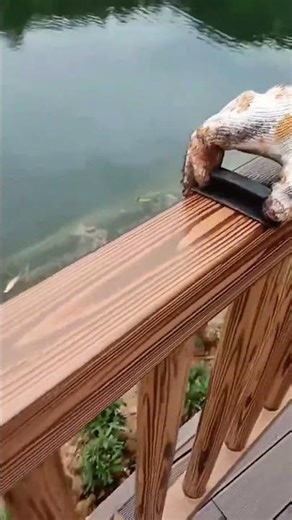 Easy Wood Grain Tool Make Any Surface Look Like Real Timber