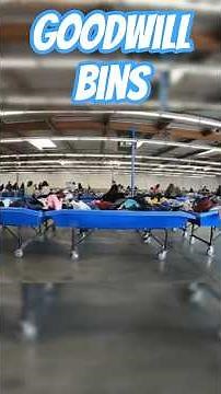 This Is What Happens Inside Goodwill Bins #RetroGames #GameHunt #Chaos