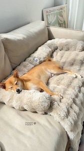 2.5K views · 5.2K reactions | Turn your couch into a pet's paradise with ourFluffy Fuzzy Calming Sofa Protector Pet Mat! This versatile and plush sofa protector not keeps your furniture safe. Also offers a soothing dog bed for your furry friend.✨ | FUNNYFUZZY | Facebook