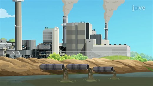 Effects of Water Pollution - Ecosystems: Interactions, Energy, and Dynamics - JoVE K12