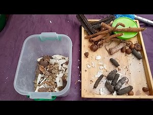Remède naturel contre le ventre chaud (bouffée de chaleur)