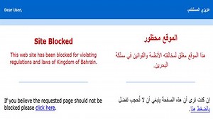 Canadian firm sells Bahrain software to censor Internet - Conservative News & Right Wing News | Gun Laws & Rights News Site