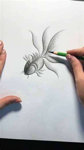 Easy Fish Drawing Secrets Nobody Tells You #drawing #beginnerarttips #art #sketch #pencildrawing