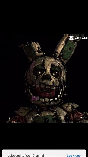 my first spring trap edit