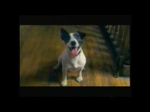 City Fido commercial (2004)