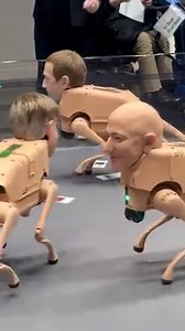 The exhibit is called “regular animals” | The Mirror