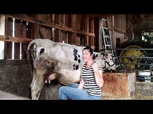 Tips on hand milking a fresh cow