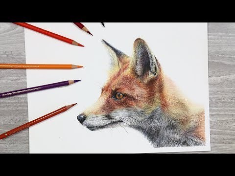 HOW TO DRAW a FOX with Colored Pencils