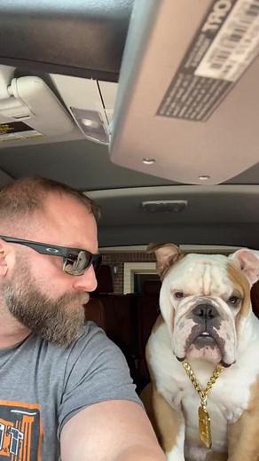 gym.bully 💪🏼🐶 (@gym.bully)’s videos with The Chicken Wing Beat - Ricky Desktop