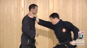 BUJINKAN Sakasai sensei's latest DVD is now available, though it is currently released only in Japanese. Bujinkan Budo Vol.2 : highest level movements in Budo https://webhiden.jp/dvd/buj4d/ Bujinkan Budo Vol.1 : Attack the vital points https://webhiden.jp/dvd/buj3d/ We've received numerous inquiries from overseas, and you can place your order through the website below. https://budojapan.com/hiden/order/ [VOD] series Bujinkan Budo Taijutsu Great Combat System of Masaaki Hatsumi In this two-volume