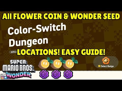 Mario Wonder | Color Switch Dungeon Guide | Sunbaked Desert
