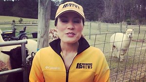 2.9K views · 80 reactions | We tour an alpaca and llama farm north of Raleigh as part of the Piedmont Farm Tour today at 4 on ABC11. I’m in love with these animals in case you can’t tell.  | Amber Rupinta WTVD | Facebook