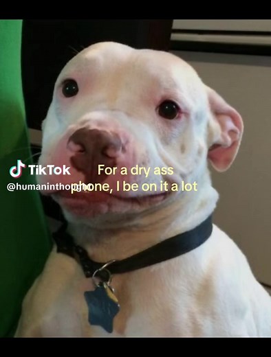 Boost Your Phone's Battery Life: Tips and Tricks