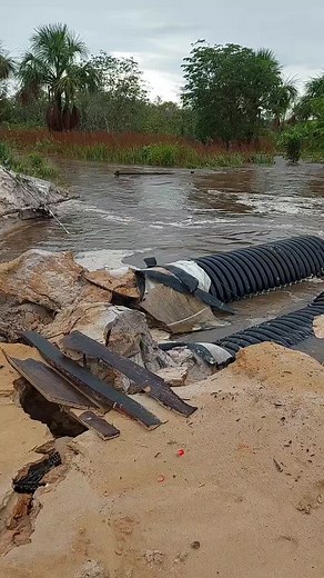 problem child on TikTok