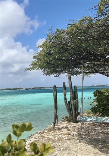 Explore Aruba: Your Ultimate Beach Destination Guide