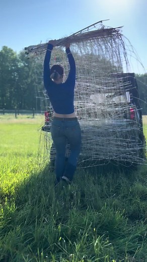 Engaging with Rotating Pastures: A Farm Day Experience