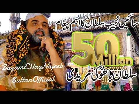 sain najeeb sultan ka paigham |najeeb sultan bahoo interview | sultan bahoo darbar | haq bahoo media