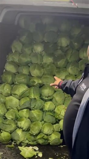 24K views · 299 reactions | 0787 375 146 @reper | Alin Brasoveanu | Facebook