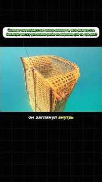 Рыбалка #fishing #colonelkkjϟ #рыбалканафидер #рыба