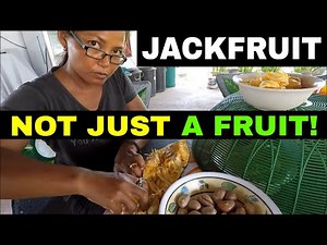 Farm Life - How to prepare JACKFRUITS